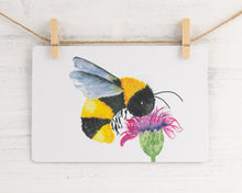 Load image into Gallery viewer, Increase Confidence: Animal Affirmation Cards and Guidebook THICKER CARDS