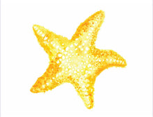 Load image into Gallery viewer, Starfish Water Colour Print (NOT framed)