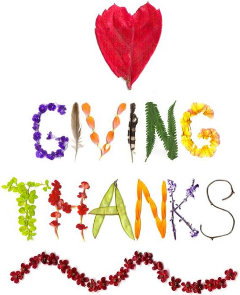 Gratitude: I am thankful. Teaching children to action gratefulness.