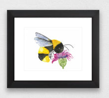 Load image into Gallery viewer, Bumble Bee Water Colour Print (NOT framed)
